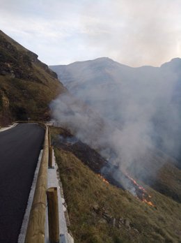 Imagen de archivo de incendio forestal  