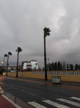 Temporal de viento en una ciudad de Andalucía