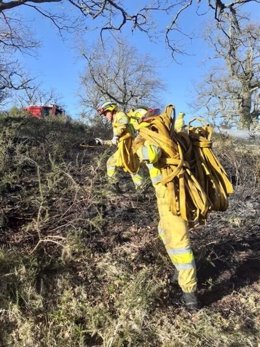 Extinción de incendios forestales. Imagen de archivo