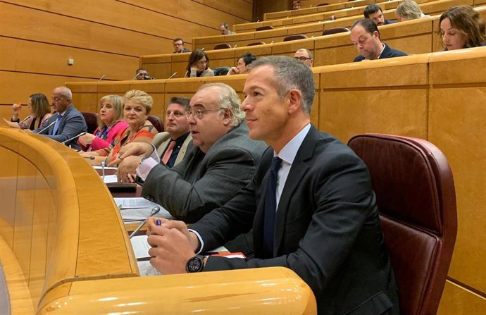 Bancada socialista en el Senado, con el portavoz, Ander Gil, en primer plano.