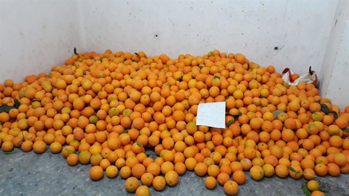 Huelva.- Sucesos.- Intervienen desde enero 1,5 toneladas de alimentos perecedero