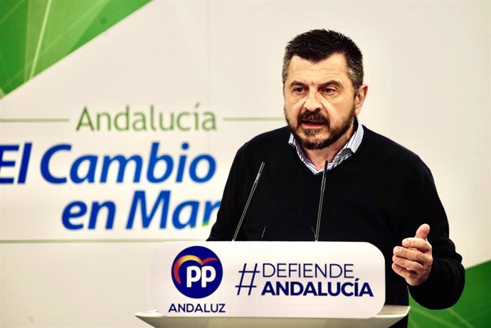 El vicesecretario general del Partido Popular andaluz, Toni Martín, en rueda de prensa este domingo
