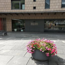 Coronavirus.- Andorra descarta el caso de coronavirus tras el resultado negativo de las pruebas