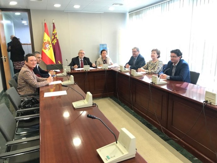 Imagen de la Comisión celebrada en la Asamblea Regional