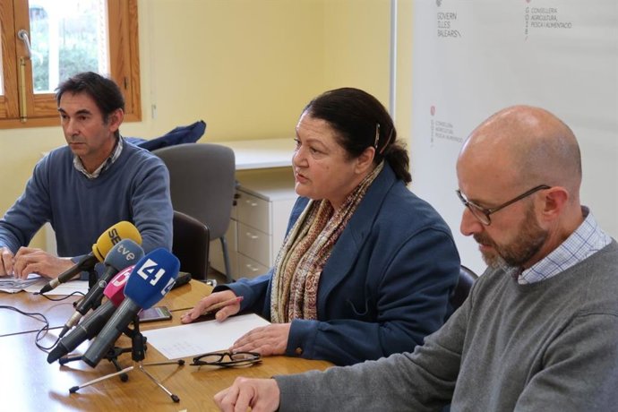 El Govern destinará 420.000 euros anuales al matadero de Palma para evitar su ci