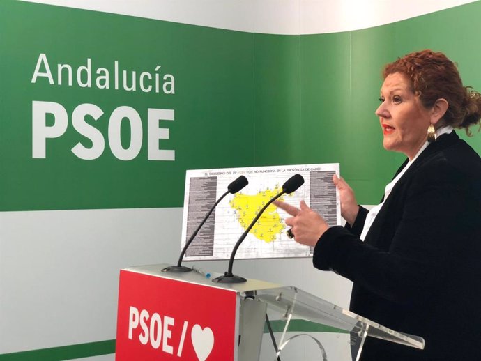 La secretaria de Organización del PSOE de Cádiz y parlamentaria andaluza, Araceli Maese, en rueda de prensa