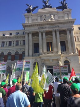 Unión de Uniones convoca a agricultores y ganaderos a concentrarse el 26 de marzo ante el Ministerio de Agricultura