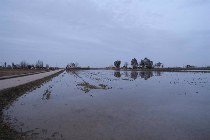 Zona cercana a Riumar (Tarragona), en el Delta del Ebro, inundada por la borrasca 'Gloria', en Riumar/Tarragona/Cataluña (España) a 24 de enero de 2020.