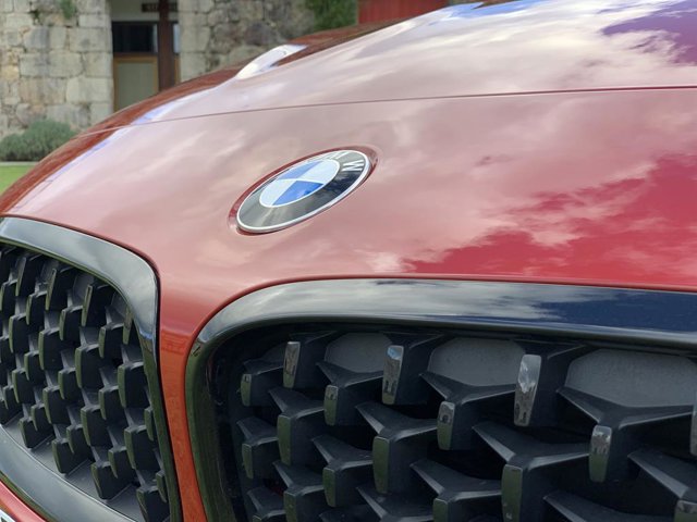 Recurso de BMW, logotipo, parrilla delantera