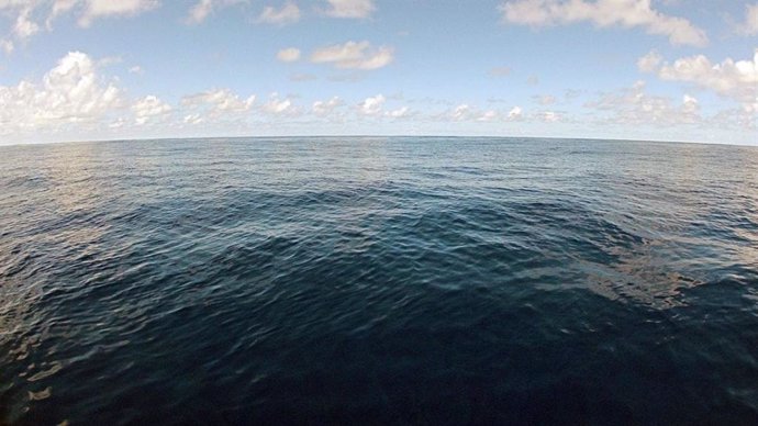 Cambios en el océano casi mataron de hambre a la vida basada en oxígeno