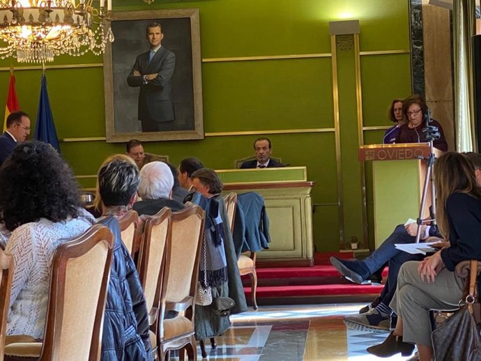 Colectivos feministas intervienen durante el Pleno de este martes.