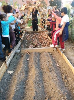 El Huerto de la Alegría pide su regularización en la red municipal y permanecer en el solar hasta que comiencen obras del centro cultural