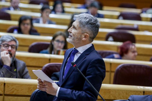 El ministro del Interior, Fernando Grande-Marlaska, durante la sesión de control al Gobierno en el Senado