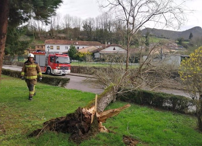 Intervención del Servicio de Bomberos de Oviedo ante el temporal.