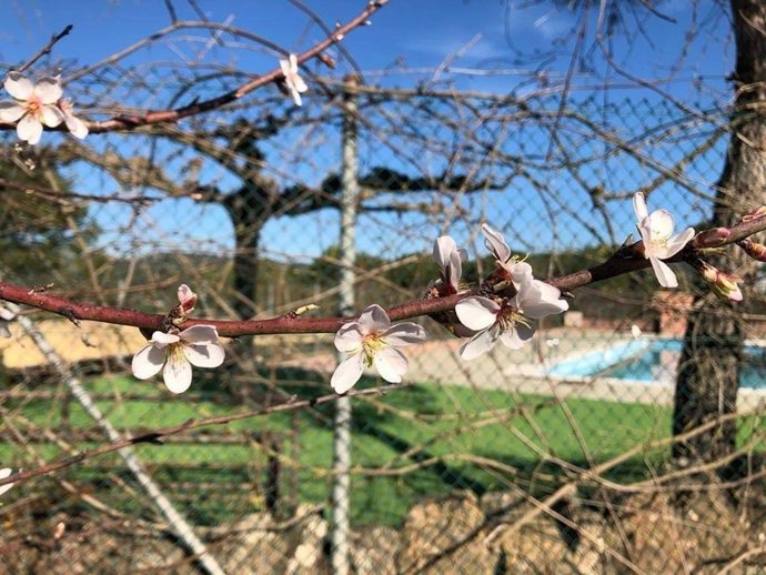 El Servei Meteorolgic de Catalunya y la UAB estudiarán los efectos del cambio c