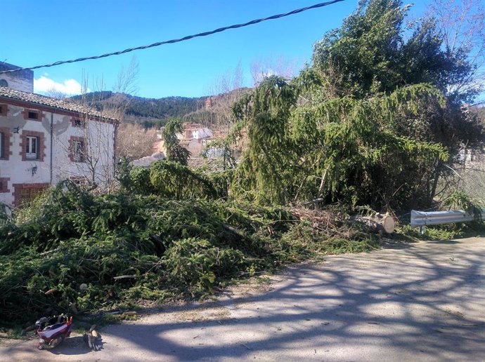 Apertura al tráfico de la carretera LR-331 en San Millán de la Cogolla tras la caída de un árbol