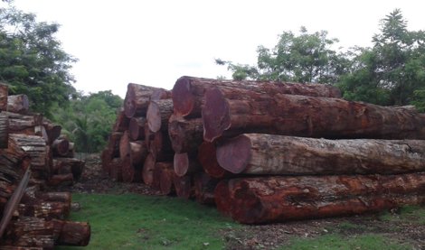 Cooperación y Desarrollo