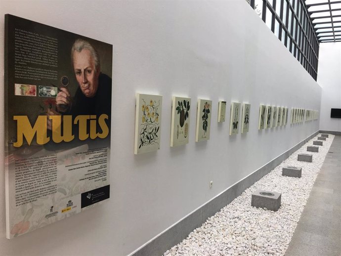 Ekoetxea Urdabai presenta una exposición con las ilustraciones botánicas de José Celestino Mutis