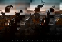 El TPI da luz verde a una investigación formal por crímenes de guerra en Afganistán