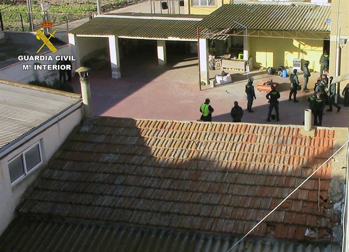 Guardia Civil desarticula un peligroso grupo criminal dedicado al cultivo y tráfico de drogas