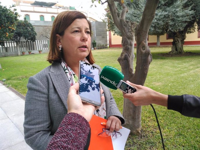 La portavoz de Ciudadanos en la Diputación de Sevilla, Carmen Santa María