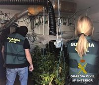 Intervenidas 232 plantas de marihuana en el interior de una vivienda en Roquetas de Mar (Almería)