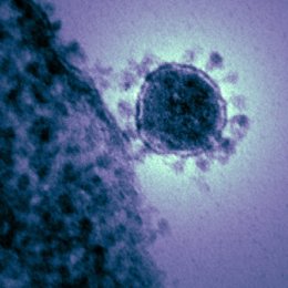 Coronavirus.- Indonesia sigue adelante con los preparativos para la peregrinació