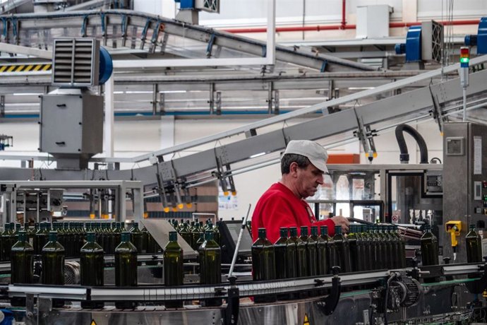 Producción de Aceites Maeva.