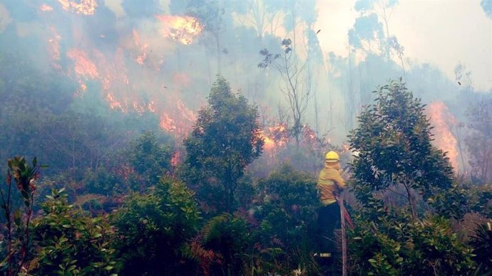 Incendios en la región de Cundinamarca, Colombia. 