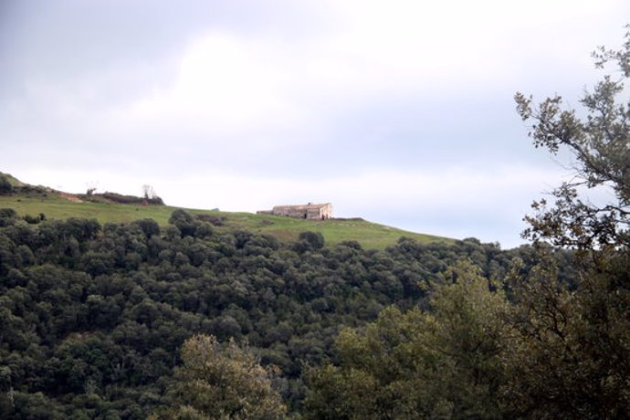 Laia Clot viu en una casa al Montseny, en un dels extrems de Tagamanent (Valls Oriental). Per arribar-hi cal conduir mitja hora per pista forestal. Imatge publicada el 7 de mar de 2020 (Horitzontal).