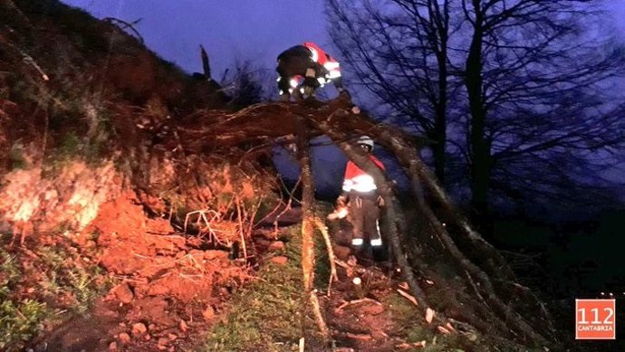 Arbol caído en una pista en Selaya