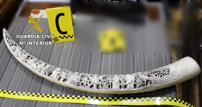 Talla de mafil intervenida.