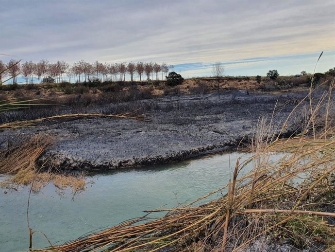 Zona quemada en el margen del río