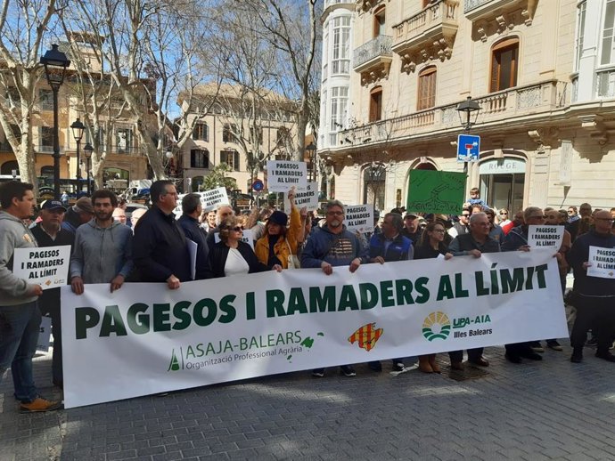 Unos 250 tractores y alrededor de 500 personas participan en una tractorada en Palma.