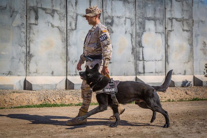 El cabo Simón Tomás Díaz junto a Hulk, perro desactivador de explosivos, en Besmayah (Irak)