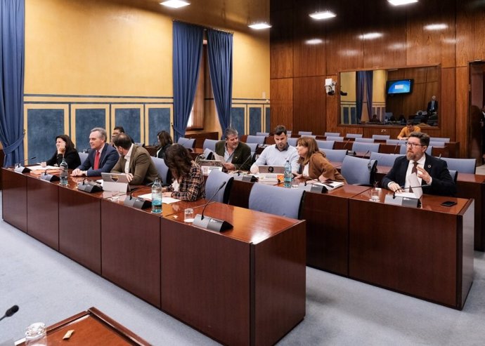Diputados en la comisión de investigación de la Faffe en el Parlamento andaluz.