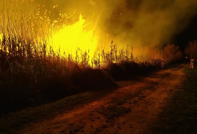 Incendio forestal en Camí de Sa Figuereta (Muro).