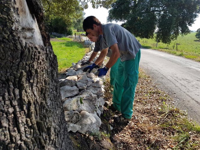 Labores de mejora del Camino Lebaniego