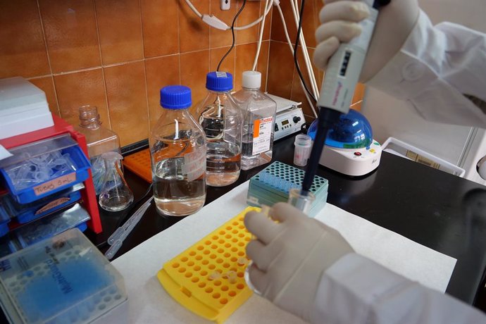 Un investigador de la Universidad de Málaga en un laboratorio