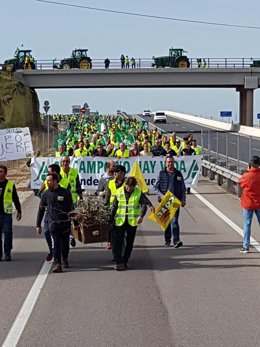 Agricultores y ganaderos de Ciudad Real salen a la calle para pedir soluciones u