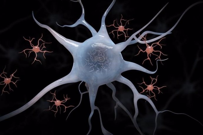 Microglia y neuronas.