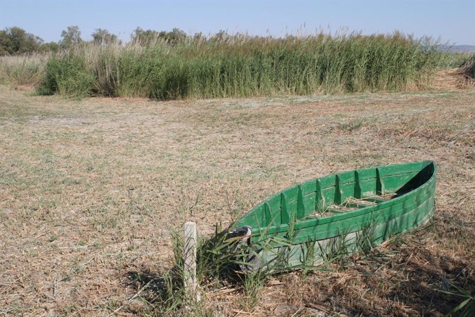 Agua.- Arroyo aboga por pozos de recarga para encharcar unas 800 hectáreas de la