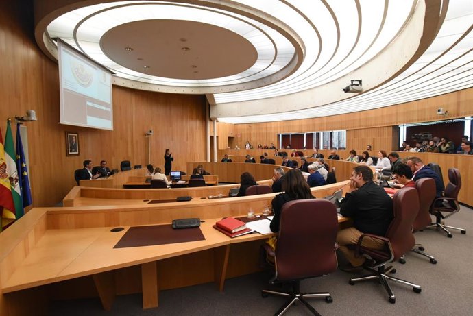 Imagen del pleno celebrado este martes en la Diputación de Granada