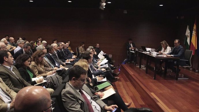 Imagen de la reunión de la secretaria general de Universidades, Investigación y Tecnología de la Junta, Rosa María Ríos, con más de 120 representantes de entidades interesadas en Compra Pública Innovadora (CPI).