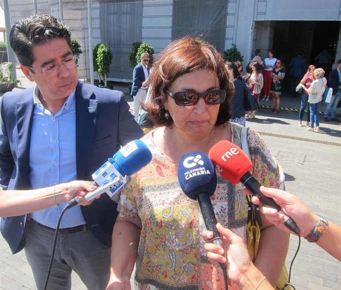 La consejera de Educación del Gobierno de Canarias, María José Guerra, junto al presidente del Cabildo de Tenerife, Pedro Martín
