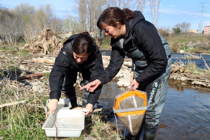 Pla general de dues de les investigadores del CERM recollint mostres al riu Ter a Manlleu. Imatge del 10 de mar de 2020 (Horitzontal).
