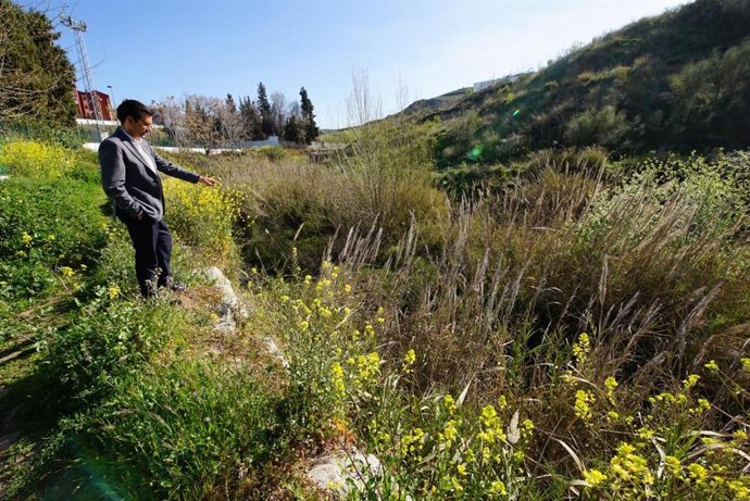 El portavoz del Grupo Municipal Socialista en el Ayuntamiento de Granada, Francisco Cuenca