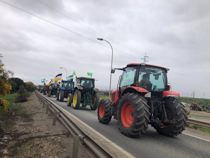 Tractores durante la movilización en Huelva.