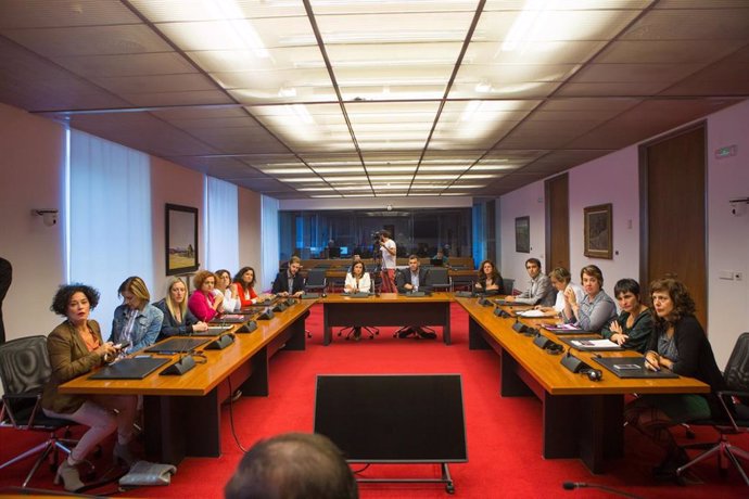 Comisión de Políticas Migratorias y Justicia del Parlamento de Navarra