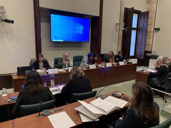 El Síndic de Greuges, Rafael Ribó, ha comparecido en comisión parlamentaria para debatir el Informe sobre los derechos de la infancia de 2019